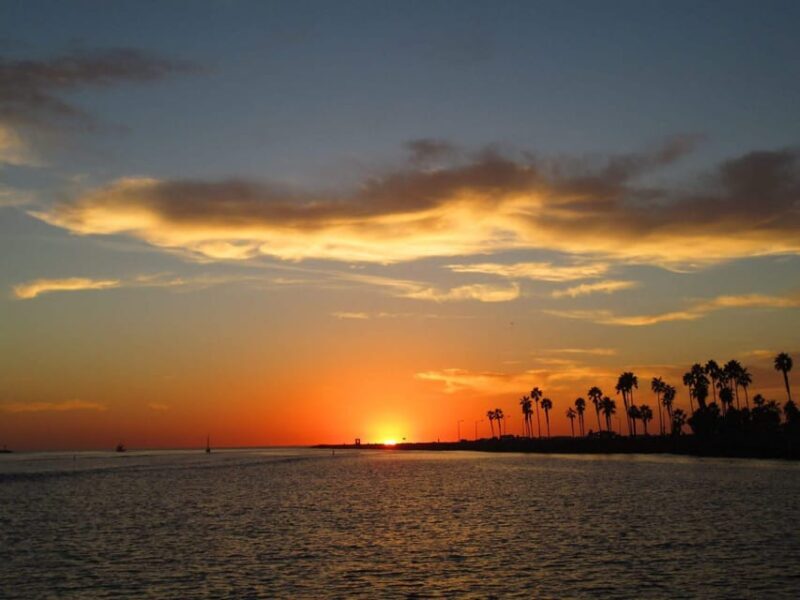 San Diego: Dolphin and Whale-Watching Sunset Cruise - Practical Tips for Your Trip