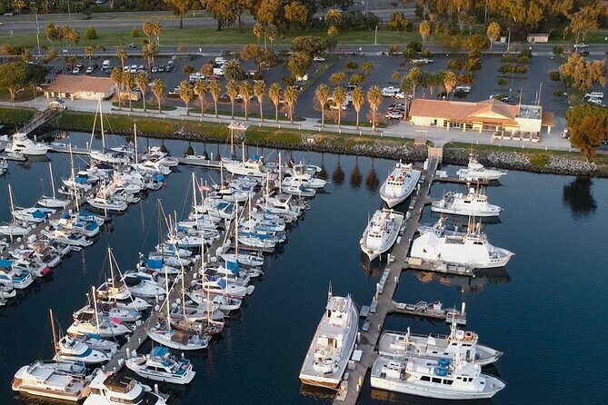 San Diego Dolphin Watch Sunset Cruise Mission Bay on the Legacy - Final Thoughts