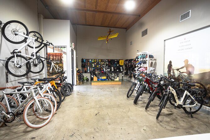 San Diego ebike Rentals - Experience California's Finest Scenery - The Perfect Fit for Different Travelers