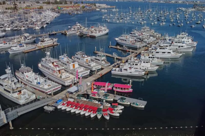 San Diego: Electric Boat Rental with Sunshade - The Sum Up