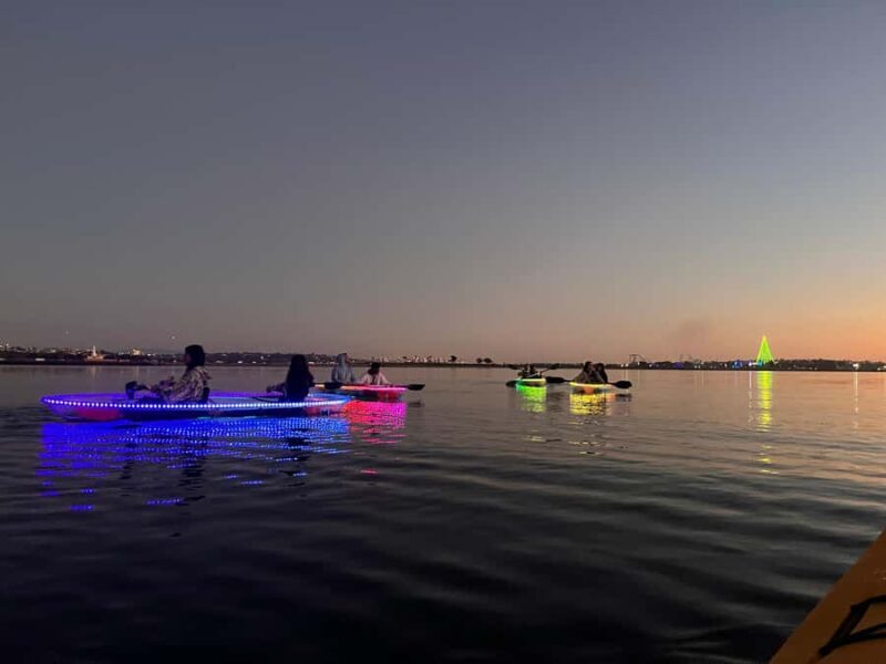 San Diego: Glass Kayak Tour - San Diego: Glass Kayak Tour