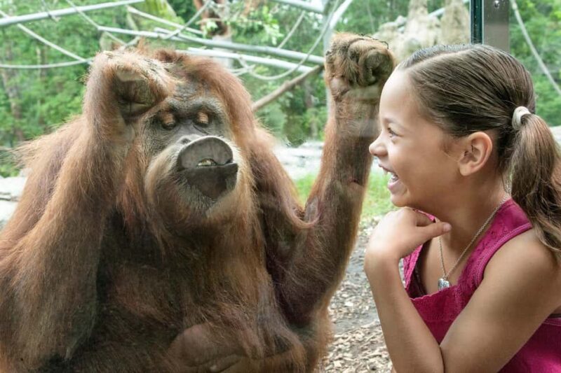 San Diego: Go City Essentials Pass - How It Works in Practice