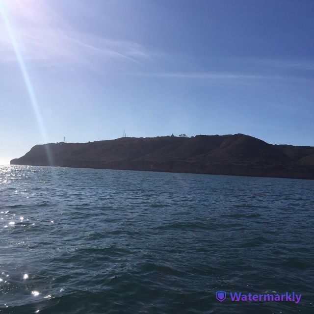 San Diego: Half-Day Marine Wildlife Tour with Lunch - Practical Details & Tips for Booking