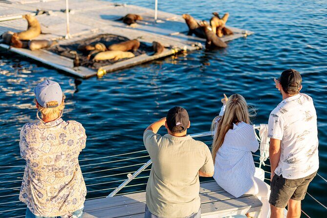 San Diego Harbor Cruise | Splash through San Diego Bay! - Who Is This Tour Best For?