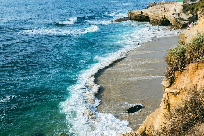 San Diego in a Day: Private Full-Day Highlights Driving Tour - Final Thoughts: Who Is This Tour Best For?