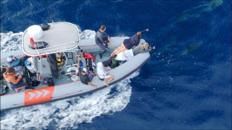 San Diego Ocean Safari: 6-Hour Snorkel Adventure! - Marine Encounters: What You’ll See and Do
