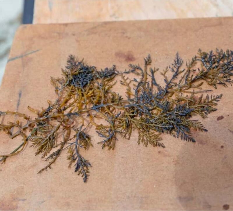 San Diego Photo Tour with a Private Photographer - FAQs