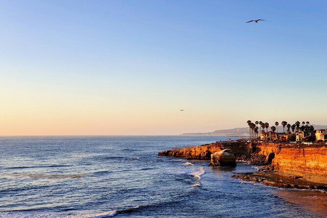 San Diego Private Highlights Tour with Daily Chauffeur - Authentic Traveler Insights