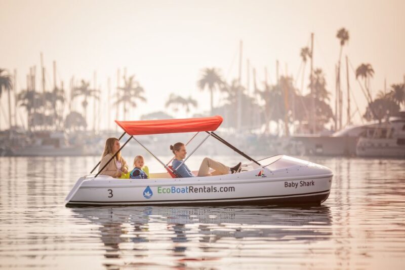 San Diego: San Diego Bay Dog-Friendly Eco Pedal Boat Rentals - Exploring San Diego Bay on an Eco Pedal Boat: What You Need to Know