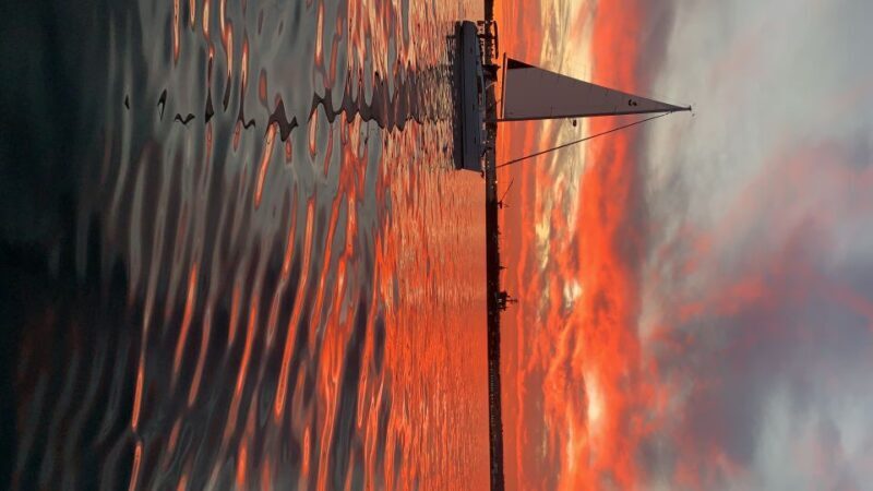 San Diego: San Diego Bay Sunset & Daytime Sailing Experience - Why This Trip Offers Great Value