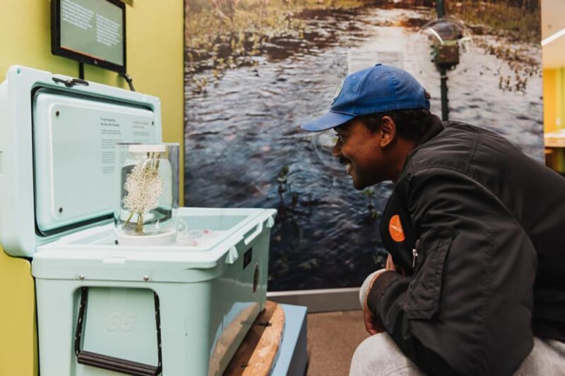 San Diego: San Diego Natural History Museum Ticket - Key Points