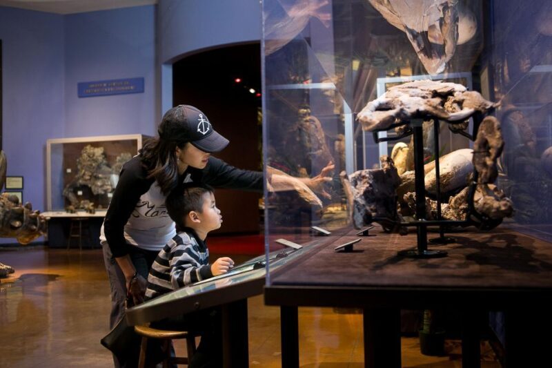 San Diego: San Diego Natural History Museum Ticket - A Deep Dive into the Experience