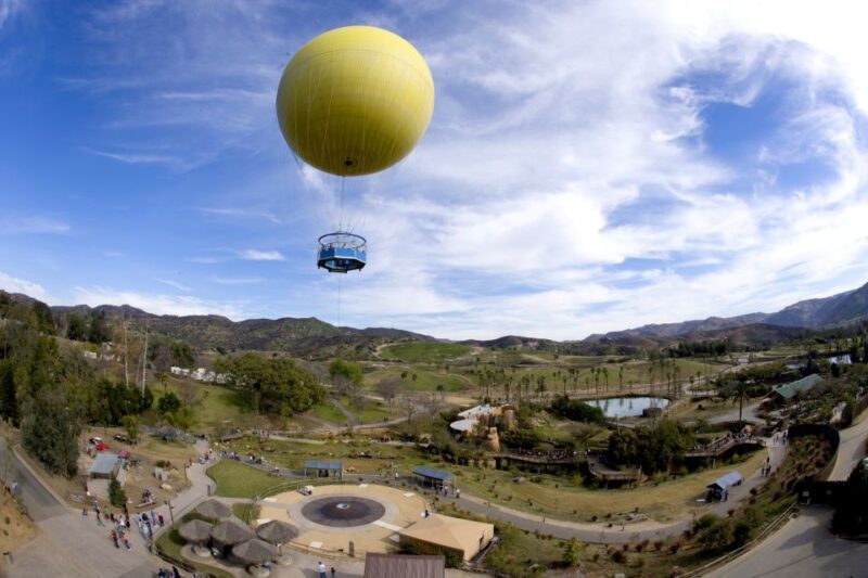 San Diego: San Diego Zoo Safari Park 1-Day Ticket - A Deep Dive into the San Diego Zoo Safari Park Experience