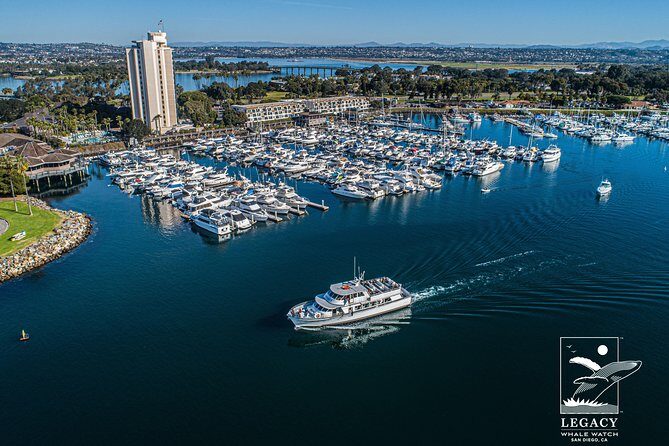 San Diego Whale Watching 3 Hour Tour Mission Bay on the Legacy - Who Will Love This Tour?