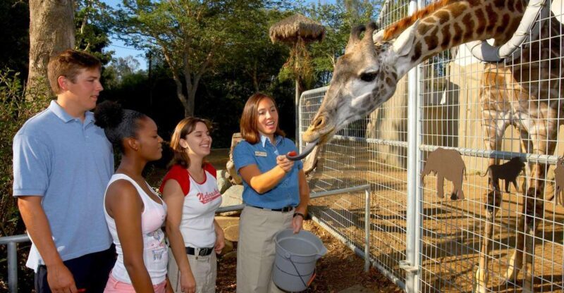 San Diego Zoo: 1-Day Admission Ticket - Key Points
