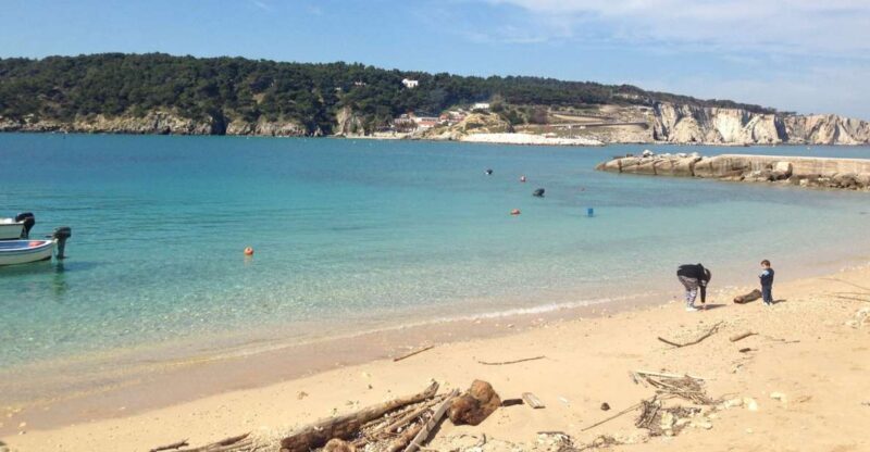 San Domino, Tremiti: Guided dives around Tremiti Islands - Who Should Book This Experience?