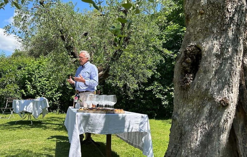 San Felice del Benaco: Vineyard Tour with Wine Tasting - Key Points