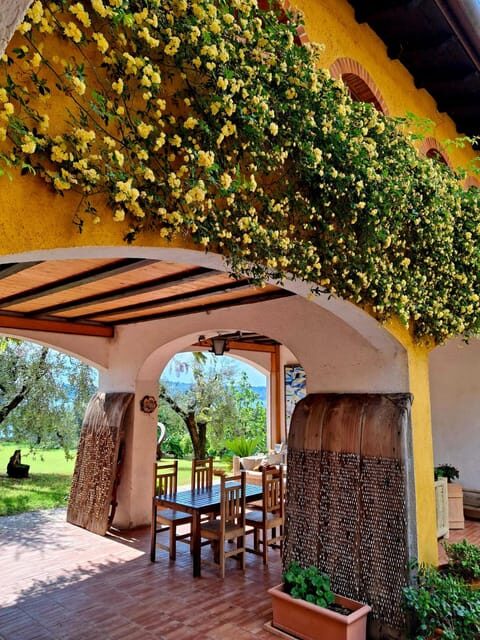 San Felice: Olive Oil Tasting with local food on Garda Hills - A Deep Dive into the Olive Oil Tasting Tour