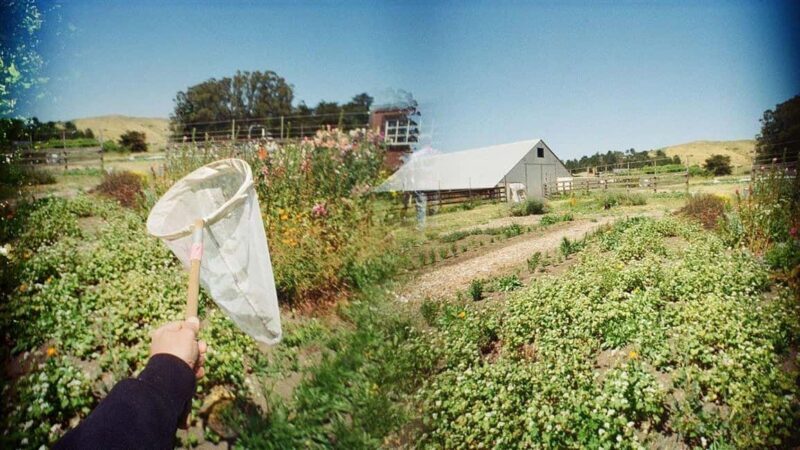 San Francisco: 5-Day California Coast, Vineyards & Wine Tour - The Bottom Line