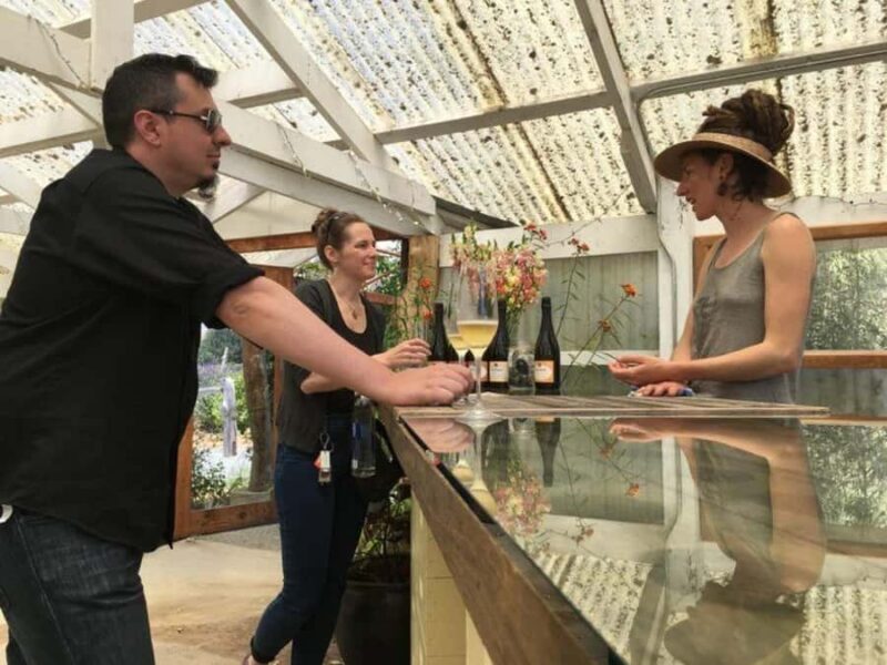 San Francisco: 5-Day Women-Only Wine Country & Coastal Tour - Key Points