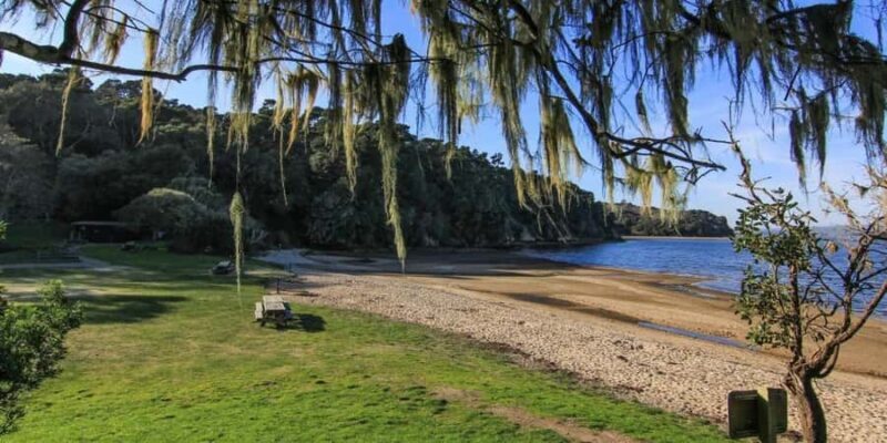 San Francisco: 5-Day Women-Only Wine Country & Coastal Tour - Who Will Love This Tour?