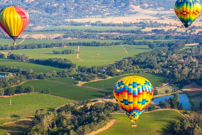 San Francisco Airport Private Transfer to Napa Valley - Pricing and Value
