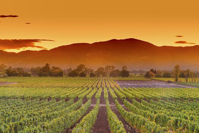San Francisco Airport Private Transfer to Napa Valley - Comparing to Other Experiences