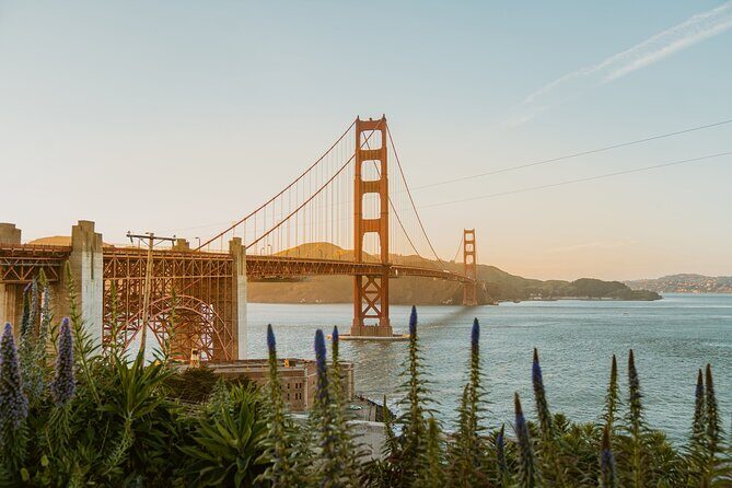 San Francisco Airport Transfer to SFO City (Special Offer) - Final Thoughts: Is This the Right Transfer for You?