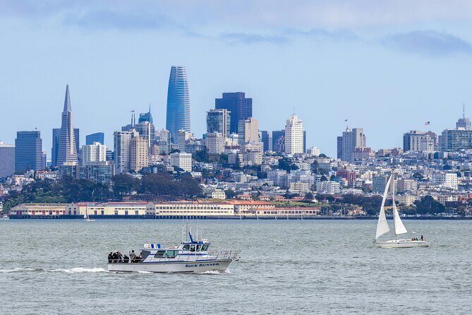 San Francisco Alcatraz, Ferry and 2 Day Hop On Hop Off Bus Tour - FAQ