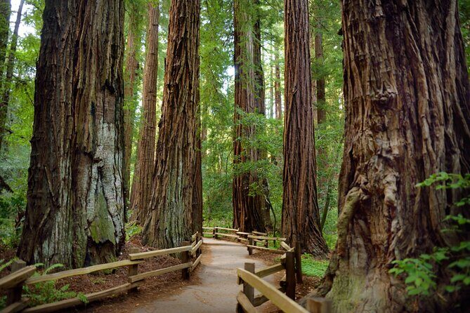 San Francisco Alcatraz Island and Guided Muir Woods Tour - Frequently Asked Questions