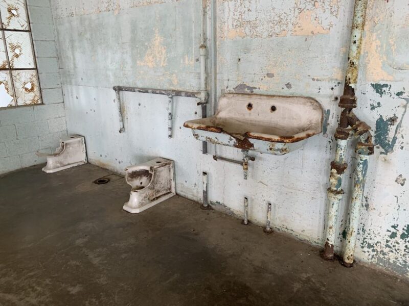 San Francisco: Alcatraz Tour with Muir Woods and Sausalito - Who Would Love This Tour?