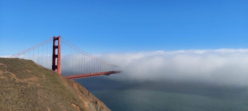 San Francisco: Alcatraz Tour with Muir Woods and Sausalito - The Sum Up