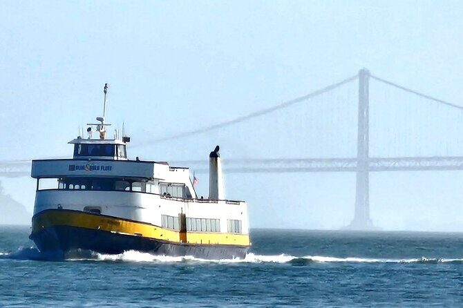 San Francisco Bay Cruise and City Combo Tour - Authentic Insights from Reviews