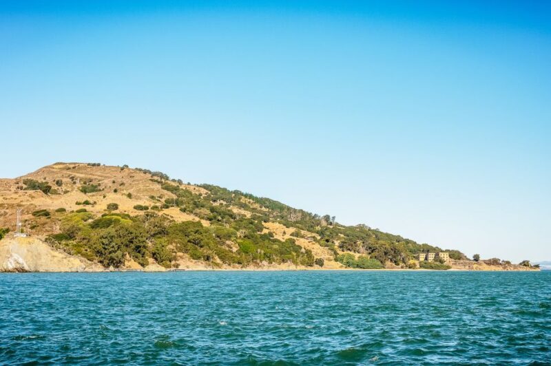 San Francisco: Bay Sailing Tour with Drinks - Analyzing the Value