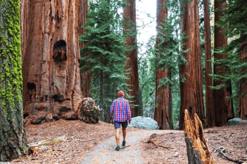 San Francisco: Bike Tour with Muir Woods and Sausalito Visit - Final Thoughts: Who Will Love This Tour?