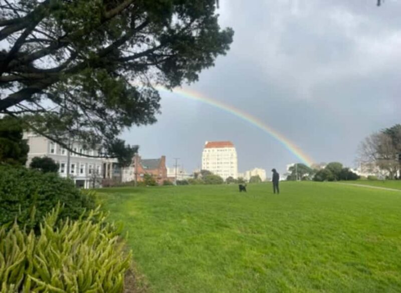 San Francisco: Billionaire's Row & Palace of Fine Arts Tour - Key Points