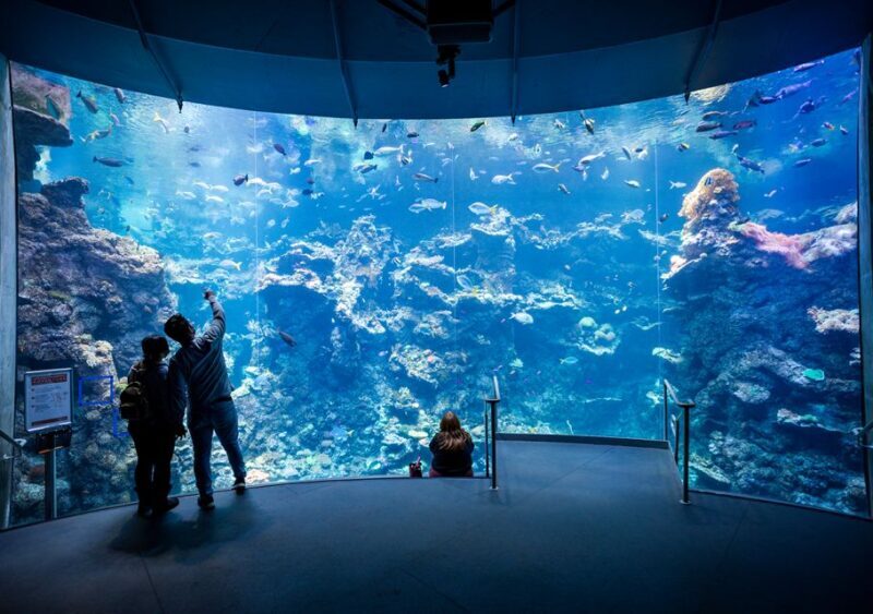 San Francisco: California Academy of Sciences Entry Ticket - Introducing the California Academy of Sciences Experience