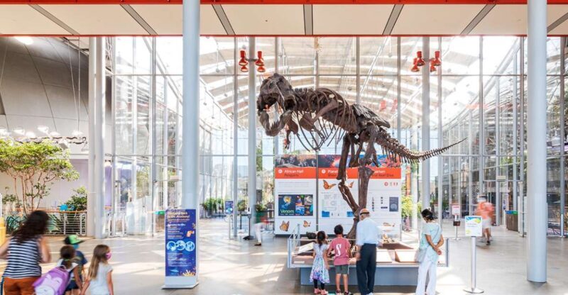San Francisco: California Academy of Sciences Entry Ticket - Key Points