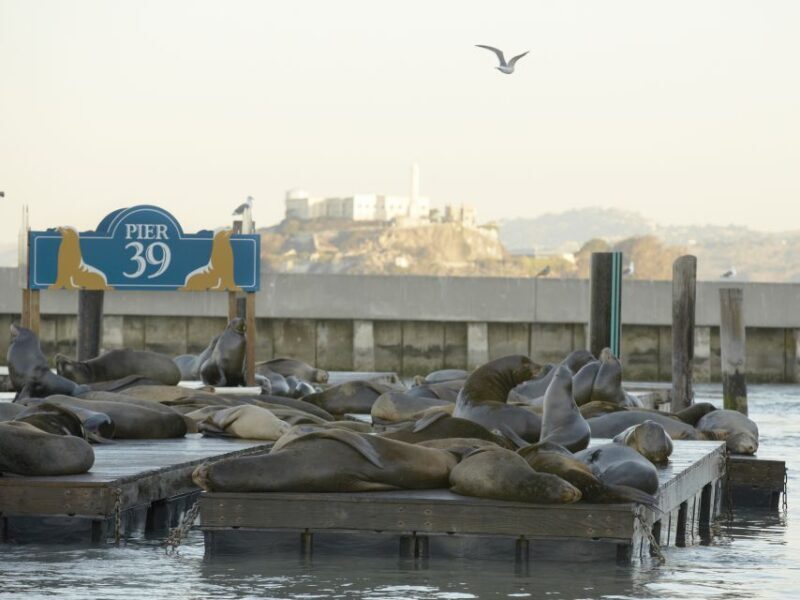 San Francisco CityPASS®: Save 46% at 4 Top Attractions - Key Points