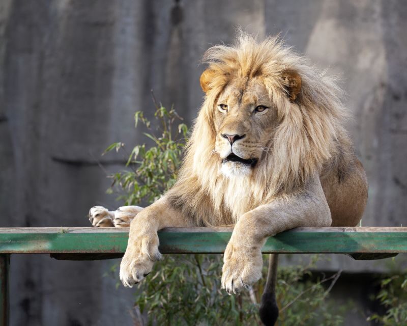 San Francisco CityPASS®: Save 46% at 4 Top Attractions - Who Should Consider This Tour?
