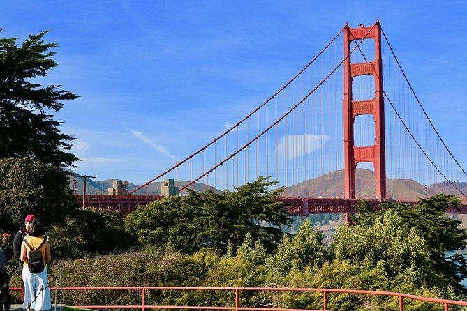 San Francisco: Coastal Redwoods Tour and Hop-on Hop-off Bus Tour - Final Word