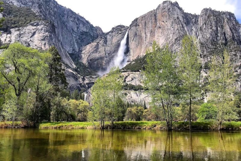 San Francisco: Day Trip to Yosemite with Giant Sequoias Hike - The Sum Up