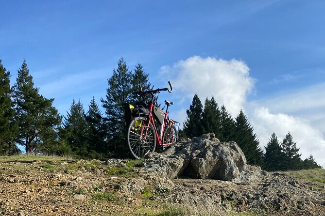 San Francisco E-bike Tour on Scenic Trails - The Value of This Scenic E-bike Tour