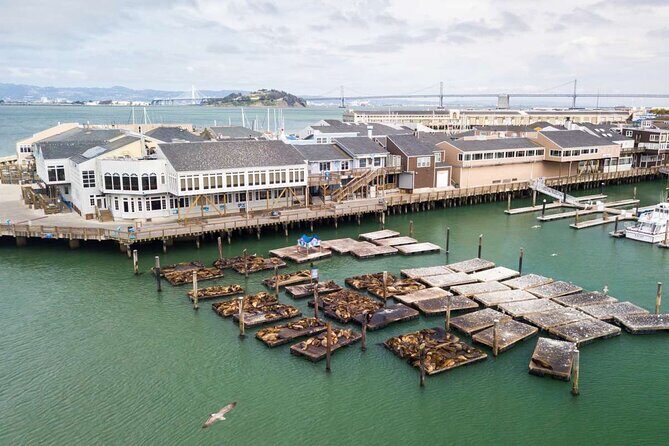 San Francisco Fisherman's Wharf Private 1-Hour Walking Tour - Key Points