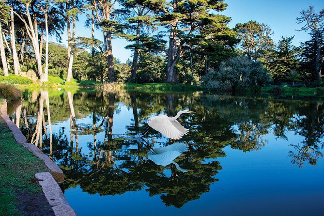 San Francisco Golden Gate Park Tour - Frequently Asked Questions