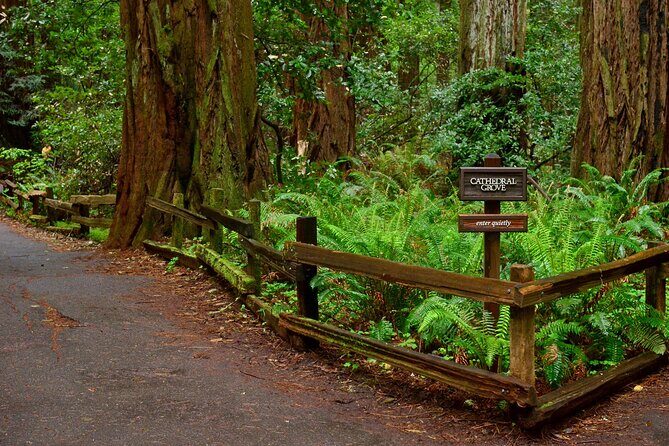 San Francisco, Golden Gate, Sausalito and Muir Woods Private Tour - The Experience: A Full Breakdown of the Itinerary