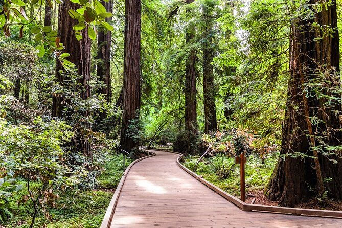 San Francisco, Golden Gate, Sausalito and Muir Woods Private Tour - The Sum Up