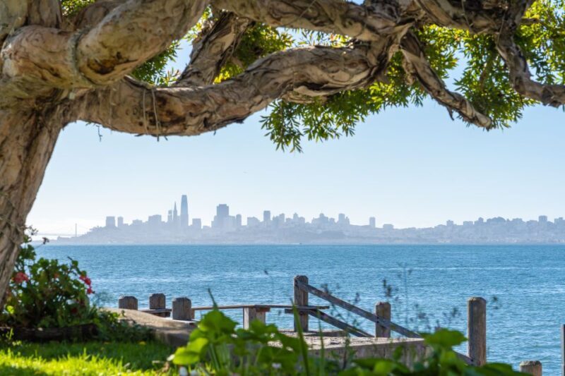 San Francisco Golden Gate Sausalito Muir Woods Private Tour - Key Points