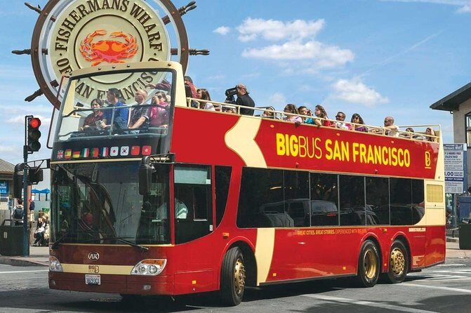 San Francisco: Guided Muir Woods Tour & Hop-on Hop-off Bus Tour - The Sum Up