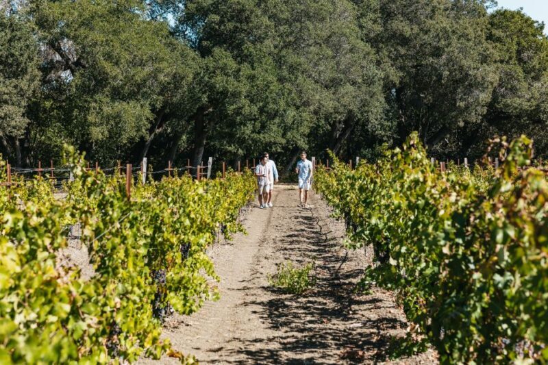 San Francisco: Half-Day Wine Country Excursion with Tastings - Final Thoughts